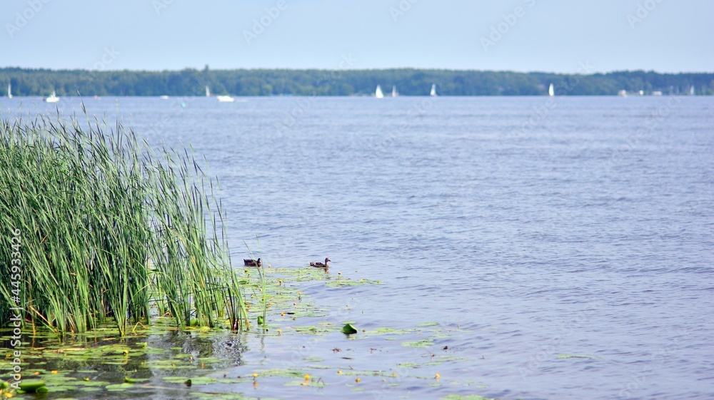 Fototapeta premium Reservoir lake and river with yachts and boats. 