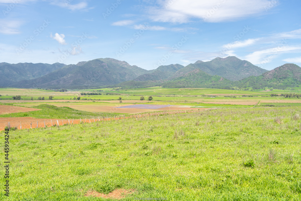 Fototapeta premium Paisaje del pueblo de Mirandilla Jalisco, muchos verdes en el campo. 