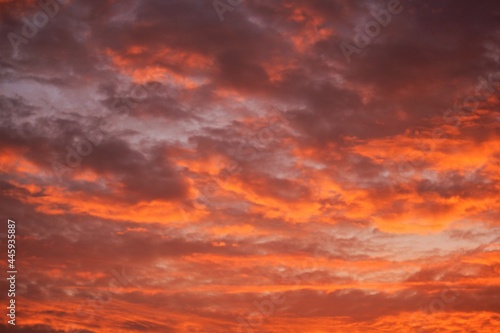 Fototapeta Naklejka Na Ścianę i Meble -  red sunset sky with clouds