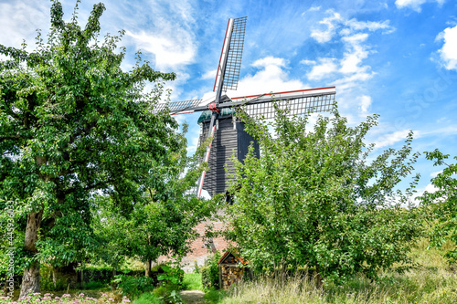 Molens, Heusden. Go on a journey of discovery through the Heemtuin and from there to the beautiful, cozy town of Heusden with its beautiful windmills. Netherlands, Holland, Europe