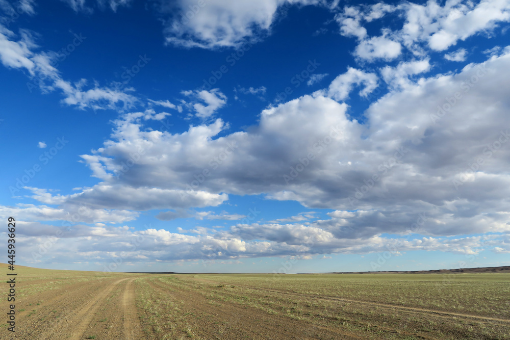 Fototapeta premium fantastic sky in steppe
