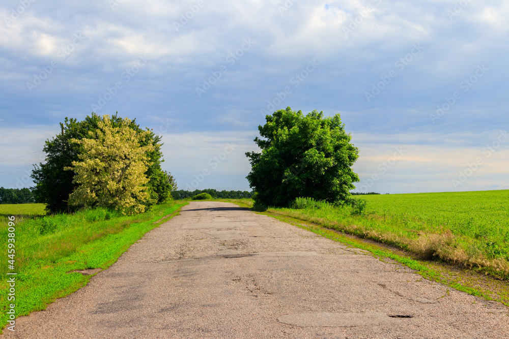Summer landscape with country asphalt road and blue sky Summer landscape with country asphalt road and blue sky