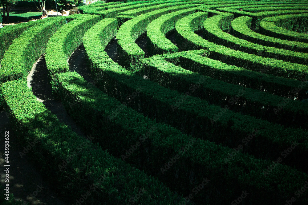 View of the maze built by hedges in public park of Sao Roque in Porto, Portugal. View of the maze built by hedges in public park of Sao Roque in Porto, Portugal.