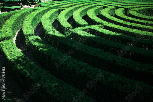 View of the maze built by hedges in public park of Sao Roque in Porto  Portugal.