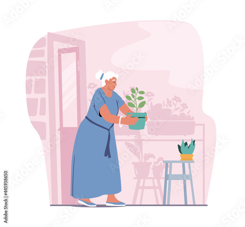 Senior Woman Gardening Hobby. Aged Grey Haired Female Character Caring of Home Plants in Pots. Old LadyCarry Flower Pot © Hanna Syvak