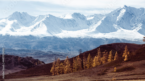 Panorama of the mountain North-Chuya ridge of Altai Republic, Russia.