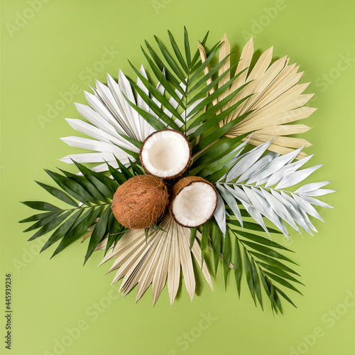 Exotic layout with whole and cut coconut decorated with palm tree leaves on green background