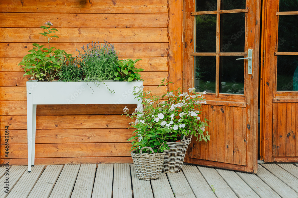 Raised bed with plants and flowers next to a wooden house in the garden. Hydrangea and lavender in a raised bed in summer. Beautiful plants in front of a wooden hut Raised bed with plants and flowers next to a wooden house in the garden. Hydrangea and lavender in a raised bed in summer. Beautiful plants in front of a wooden hut