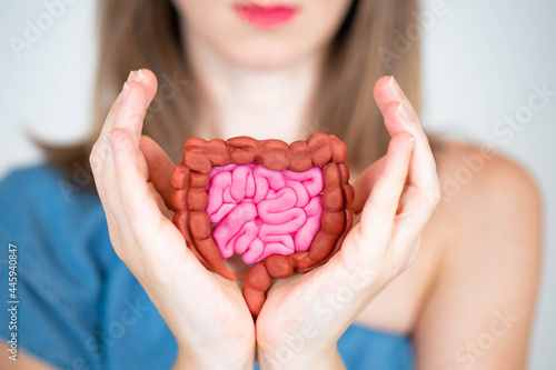Tableau sur toile Intestinal health concept