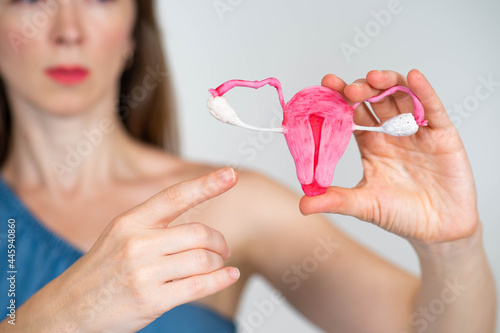 Uterus anatomy. Gynecologic...