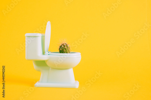 Sharp cactus in miniature toilet pot on yellow background copy space photo