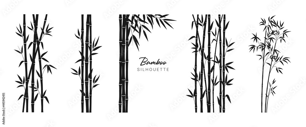 Set of bamboo silhouette on white background. Black bamboo stems, branches and leaves. Vector illustration. - obrazy, fototapety, plakaty 