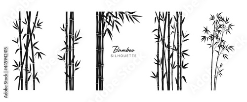 Photo Set of bamboo silhouette on white background