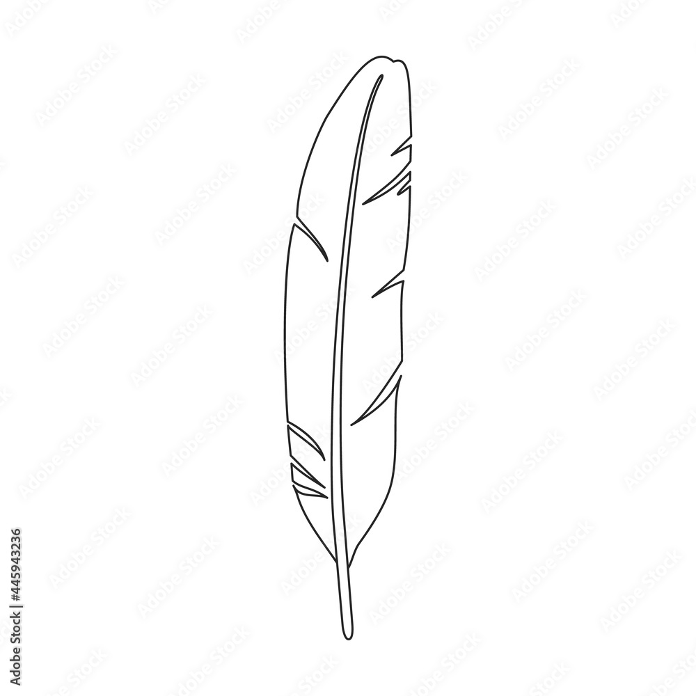 Feather bird vector outline icon. Vector illustration quill on white background. Isolated outline illustration icon of feather bird . Feather bird vector outline icon. Vector illustration quill on white background. Isolated outline illustration icon of feather bird .