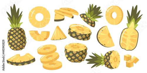 Set of Pineapples, Ripe Healthy Organic Product Design Elements, Fresh Tropical Plant. Whole, Half and Sliced Fruits