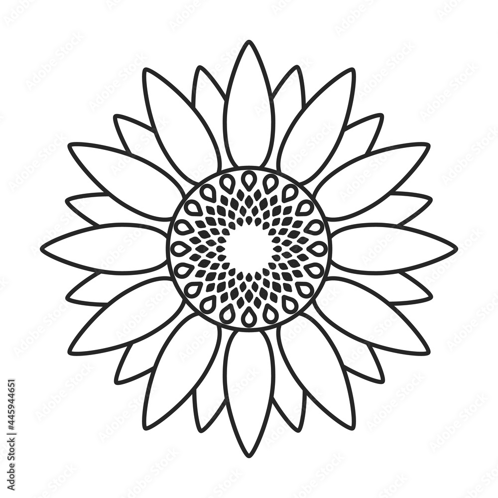 Sunflower vector outline icon. Vector illustration san flower on white background. Isolated outline illustration icon of sunflower. Sunflower vector outline icon. Vector illustration san flower on white background. Isolated outline illustration icon of sunflower.