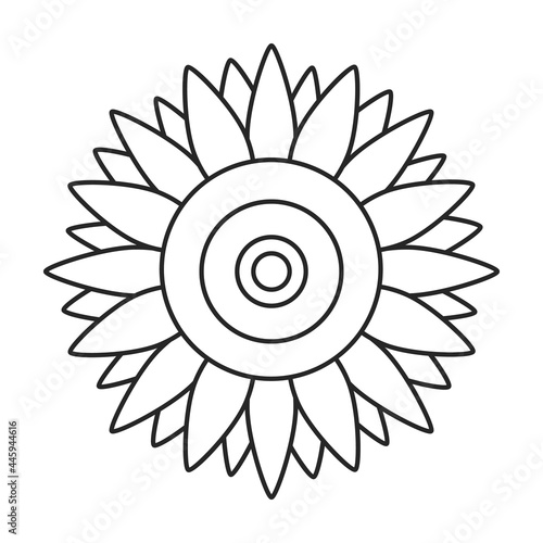 Sunflower vector outline icon. Vector illustration san flower on white background. Isolated outline illustration icon of sunflower.