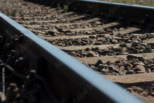 railroad tracks in the forest