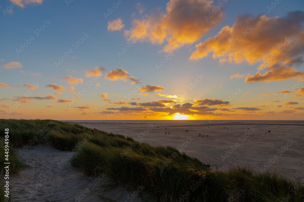 The sand dunes or dyke at Dutch north sea coastline with european marram beach grass, Soft golden sunlight in the evening during the sun going down, Sunset at Texel Island, Noord Holland, Netherlands.