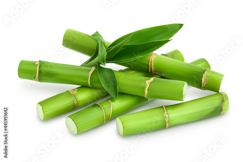 Green bamboo with leaves isolated on white background with clipping path and full depth of field