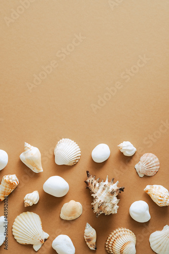 Seashells frame border on sand colored background. Flat lay, top view, vertical composition. © photoguns