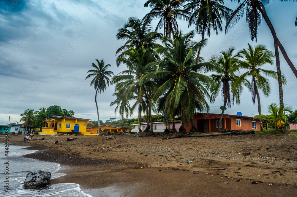 Fototapeta premium beach with palms