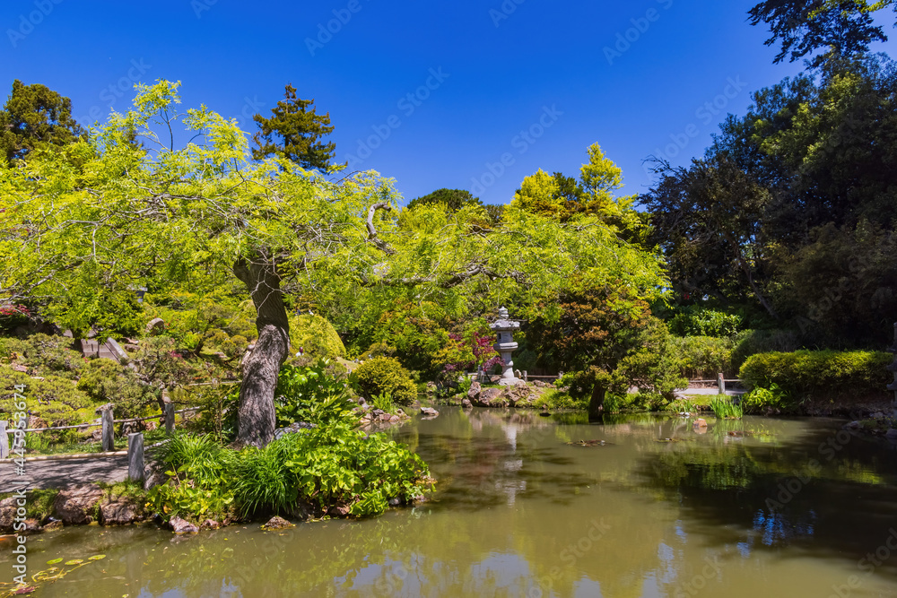 Sunny view of the Japanese Tea Garden in Golden Gate Park Sunny view of the Japanese Tea Garden in Golden Gate Park