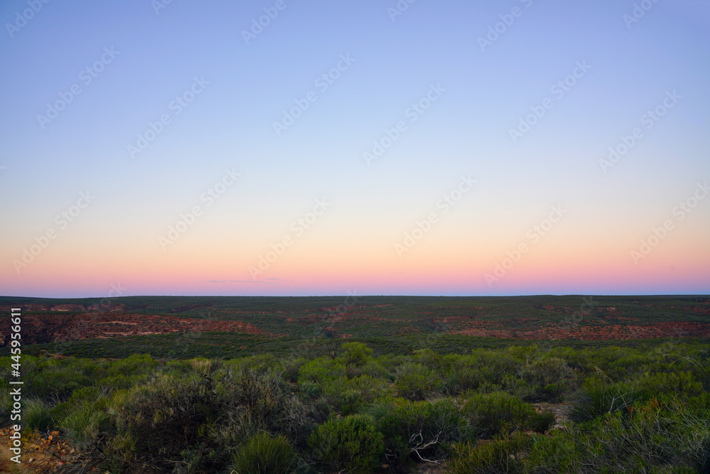 Sunset view of a pink sky over trees in Kalbarri National Park in the Mid West region of Western Australia