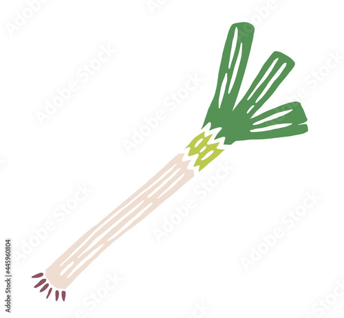 葱　レトロなイラスト