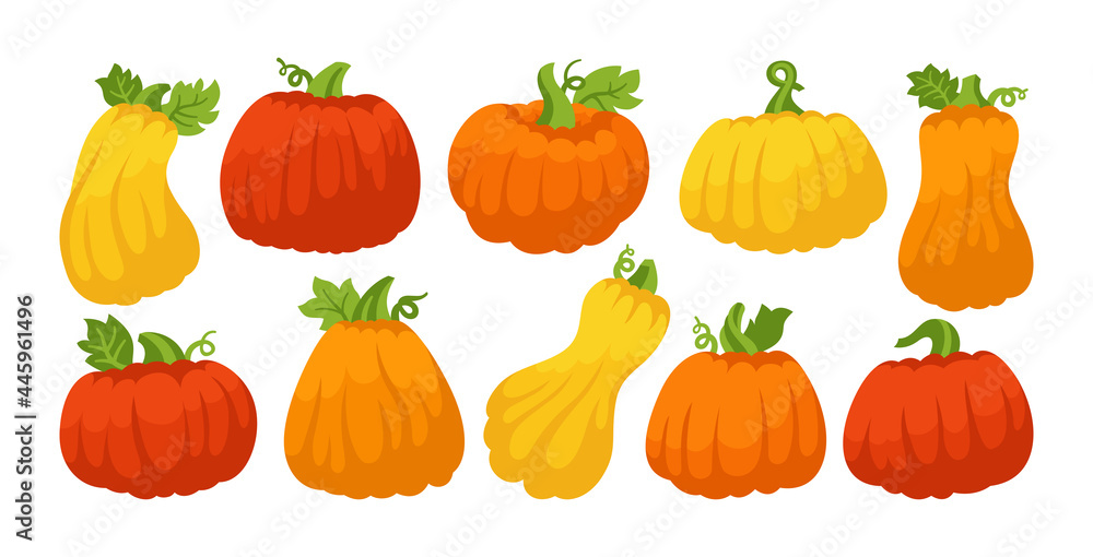 Pumpkin flat cartoon set. Autumn various ripe whole pumpkins. Halloween or Thanksgiving Day festival symbol harvest collection. Agricultural hand drawn colorful vegetable icon orange red vector Pumpkin flat cartoon set. Autumn various ripe whole pumpkins. Halloween or Thanksgiving Day festival symbol harvest collection. Agricultural hand drawn colorful vegetable icon orange red vector