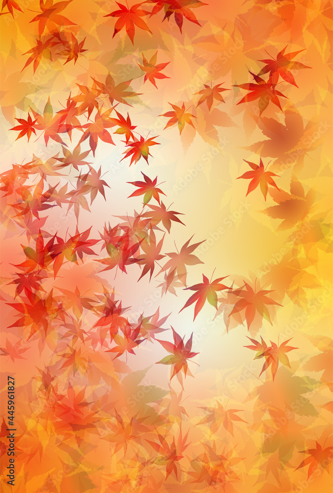 紅葉 もみじ 秋 背景
紅葉 もみじ 秋 背景