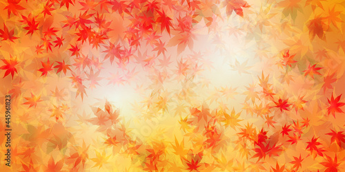 紅葉　もみじ　秋　背景
