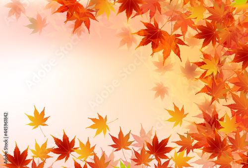 紅葉　もみじ　秋　背景
