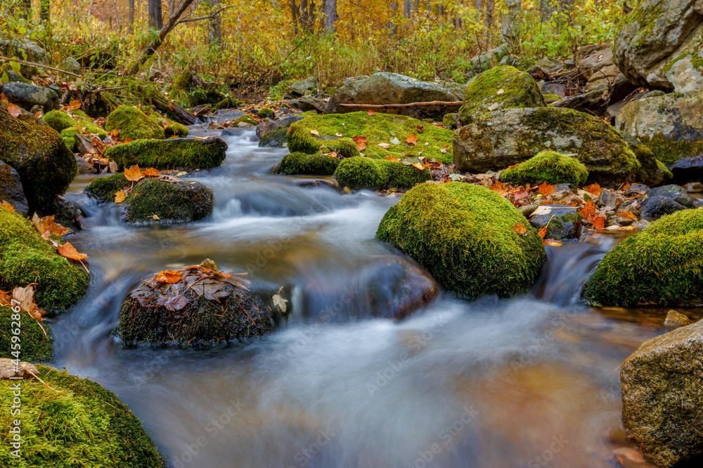 Sikhote-Alin Biosphere Reserve. Shutter speed shooting. A crystal clear stream flows over pebbles in an autumn forest. Reserved river. Sikhote-Alin Biosphere Reserve. Shutter speed shooting. A crystal clear stream flows over pebbles in an autumn forest. Reserved river.