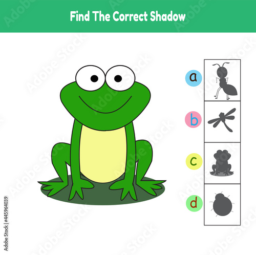 Find The Correct Shadow Game Frog Cartoon Illustration Vector