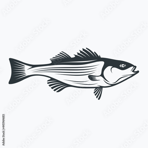 sea fish illustration, sea fish icon, vector art