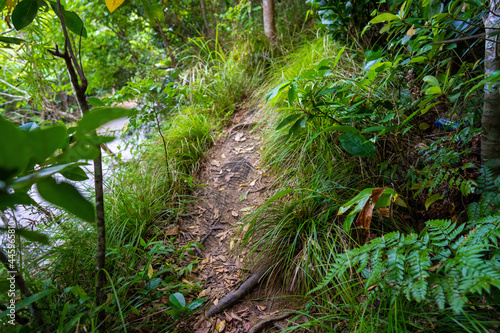                                                     Ishigaki Okinawa Yarabu-dake