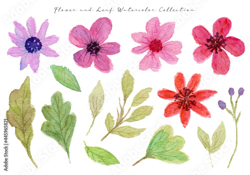 Beautiful Flower Watercolor Collection