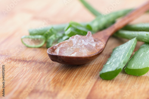 Aloe vera meat collected from aloe vera is in a spoon