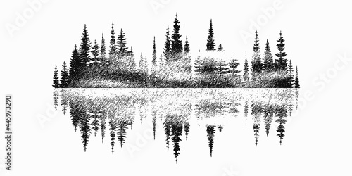Coniferous forest reflected in water, black and white landscape 