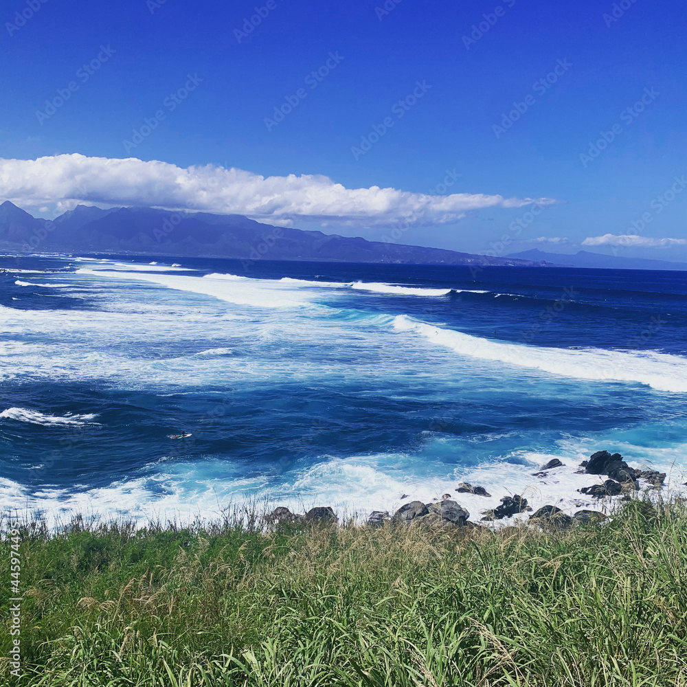 Obraz premium Hawaiian Coast