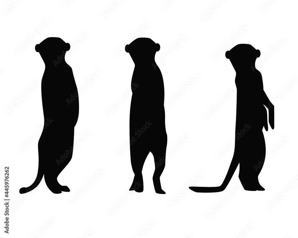 3 silhouettes of meerkat isolated background 3 silhouettes of meerkat isolated background