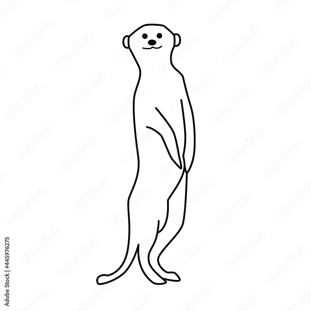 Meerkat line drawing vector isolated background Meerkat line drawing vector isolated background