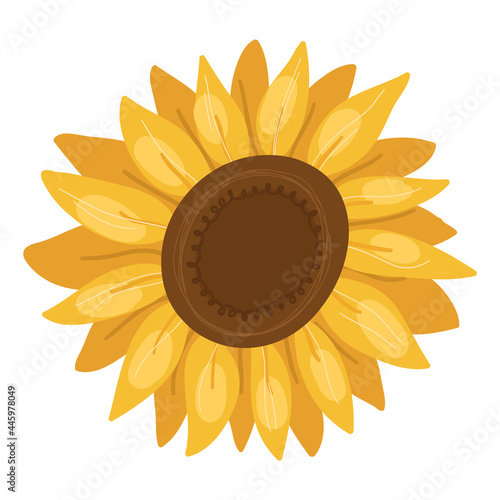 Sunflower desigh element for greeting cards,banners.