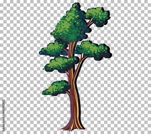 A tree with green leaves on transparent background