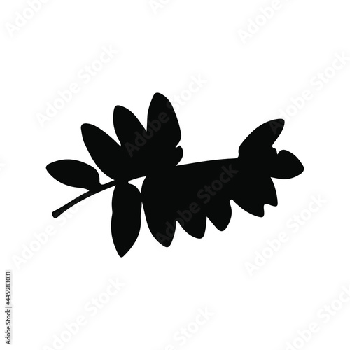 silhouette leaf on white background. vector illustration