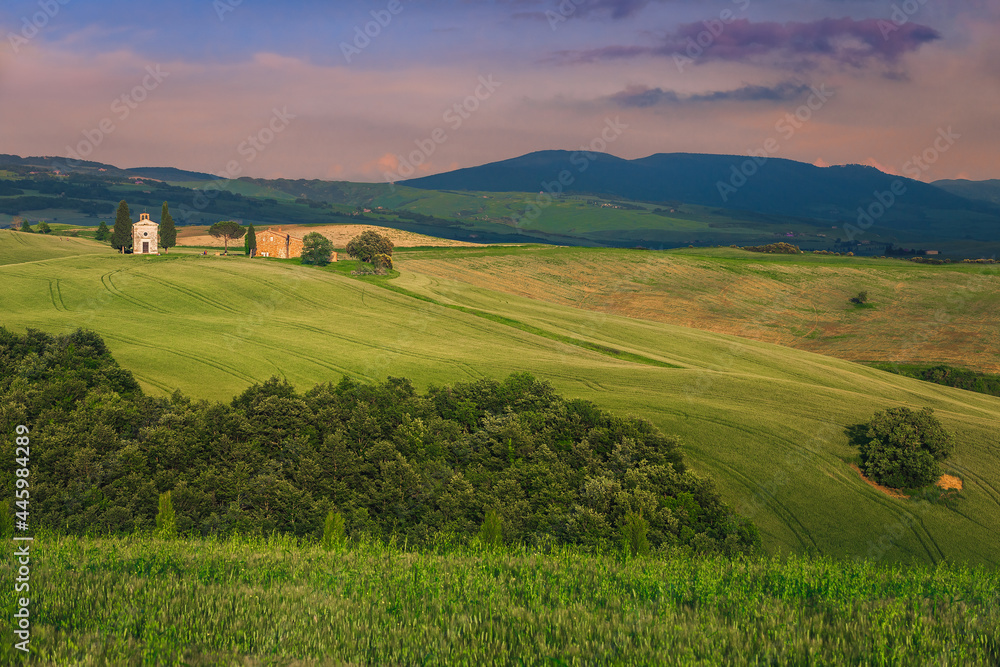 Grain fields and Vitaleta chapel on the hill, Tuscany, Italy