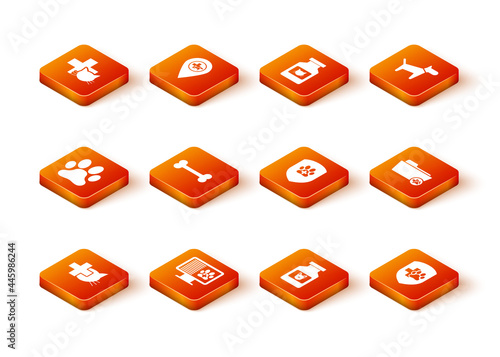 Set Veterinary clinic, Clinical record pet on monitor, Paw print, Dog bone, medicine bottle and Animal health insurance icon. Vector