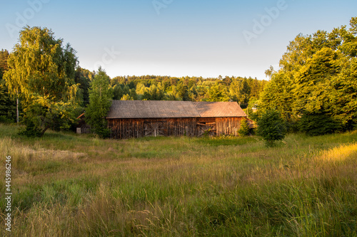 Old, wooden barn situated between green trees, on a meadow. Forest in the background. Krasnobród, Roztocze, Poland. © LOGORYTM
