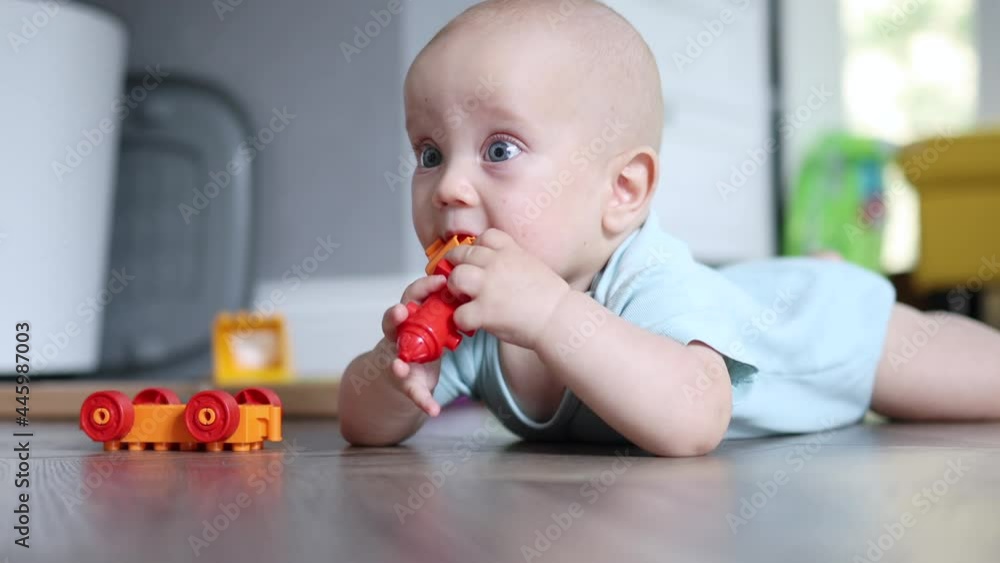 blue eyed little 6-month baby infant lying on the wooden floor in the living room playing with toys sucking and touching exploring. childhood education lifestyle family concept blue eyed little 6-month baby infant lying on the wooden floor in the living room playing with toys sucking and touching exploring. childhood education lifestyle family concept